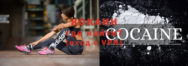 индика Няндома