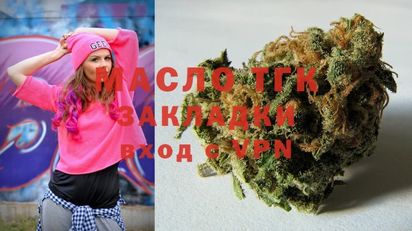 индика Няндома