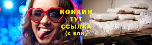 индика Няндома