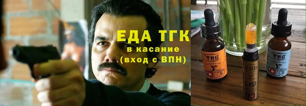 индика Няндома