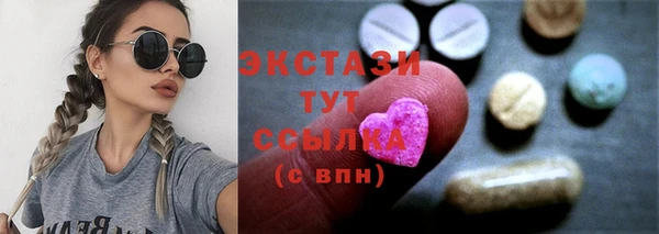 индика Няндома