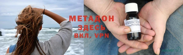 индика Няндома