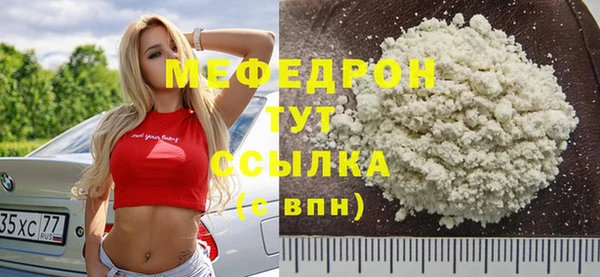 индика Няндома