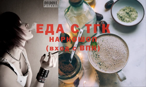 индика Няндома