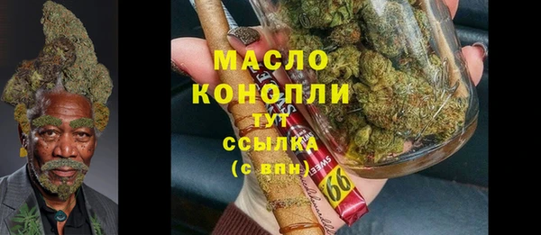 индика Няндома