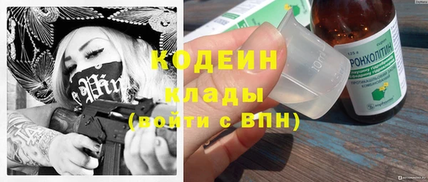 индика Няндома