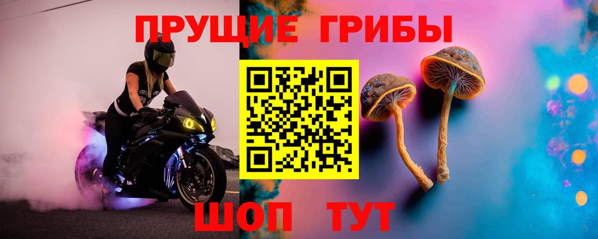 Псилоцибиновые грибы GOLDEN TEACHER Полысаево
